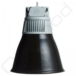 Industriële lampen - Rex laag